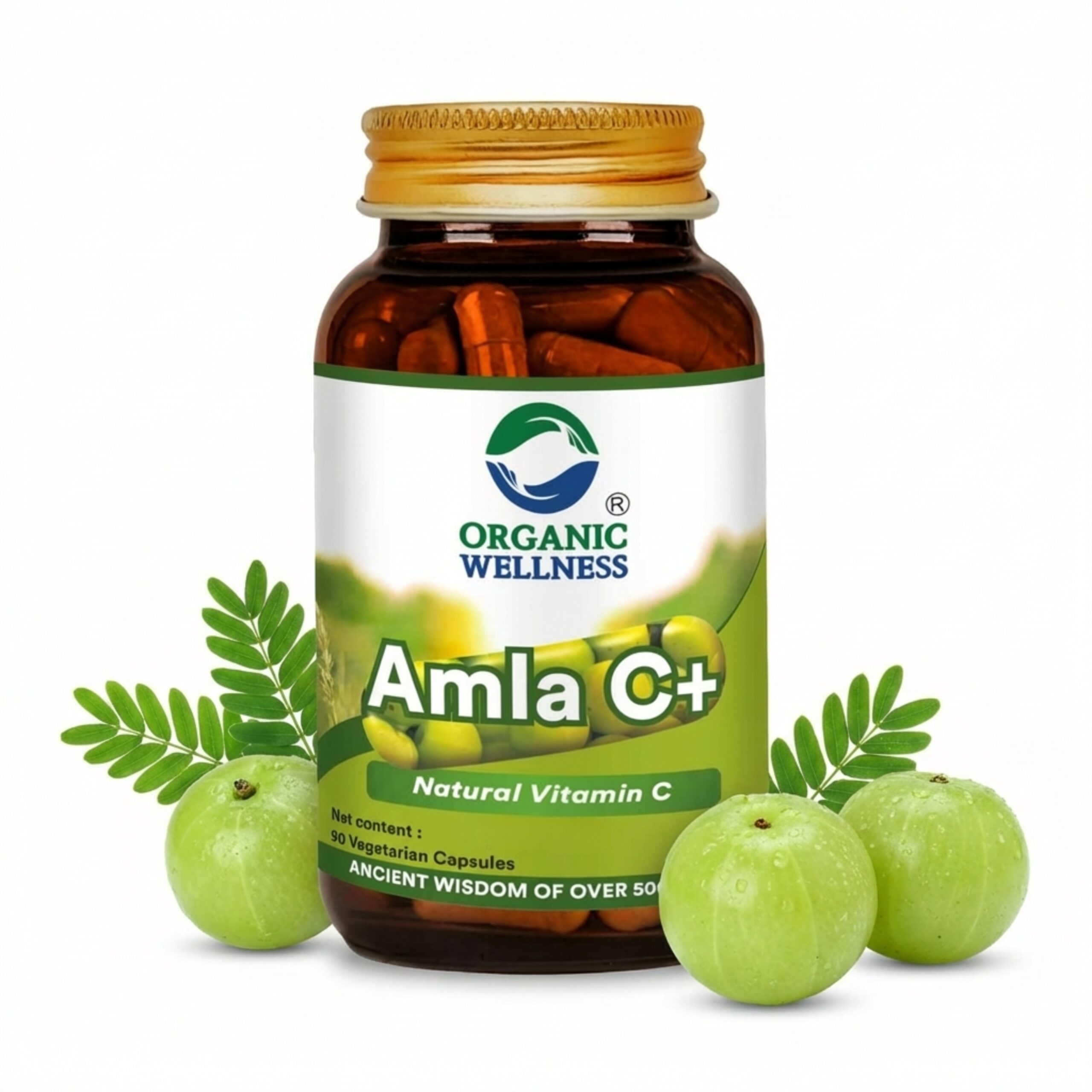 Organic Wellness Amla Capsules - Vitamin C - Antioxidant - 90 Veg Capsules