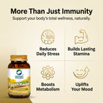 Organic Wellness Ayush Kwath Capsules -  90 Capsules