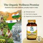 Organic Wellness Ayush Kwath Capsules -  90 Capsules