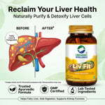 Organic Wellness Liv Fit Capsules - 90 Capsules