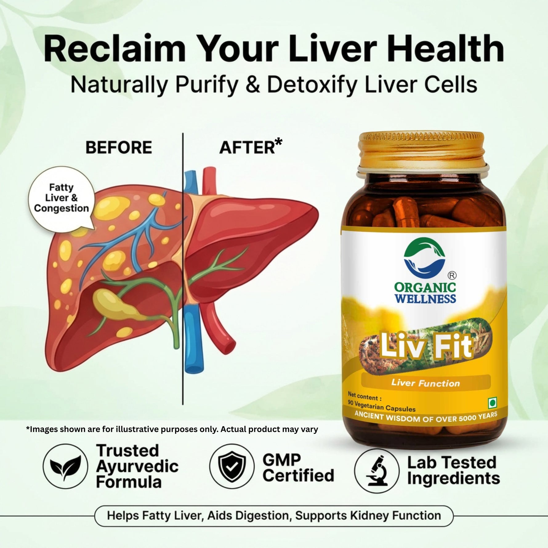 Organic Wellness Liv Fit Capsules - 90 Capsules