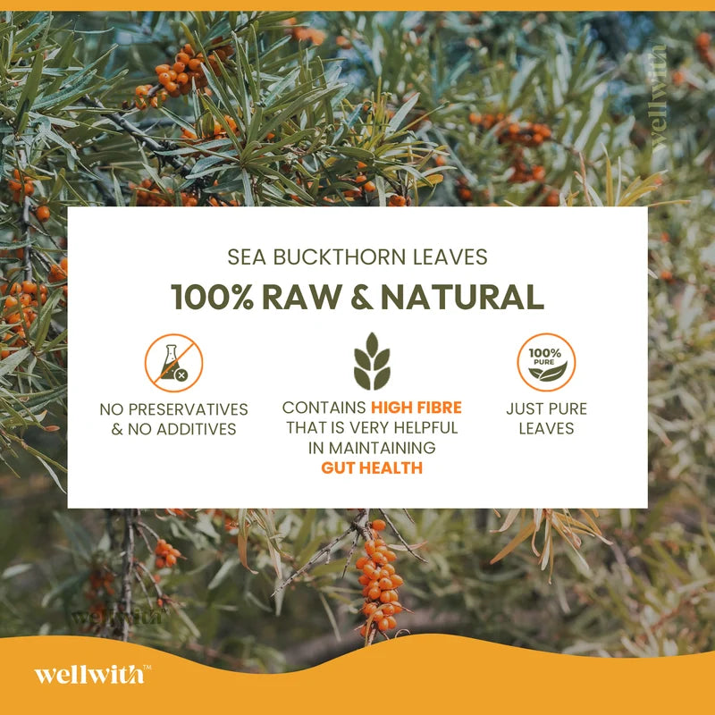 WellWith Sea Buckthorn Leaf Tea (50g)