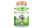 Divya Shree Shatavari capsule 60 Capsule