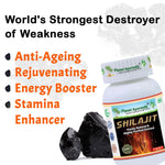 Planet Ayurveda Shilajit Capsule - 60 Capsules