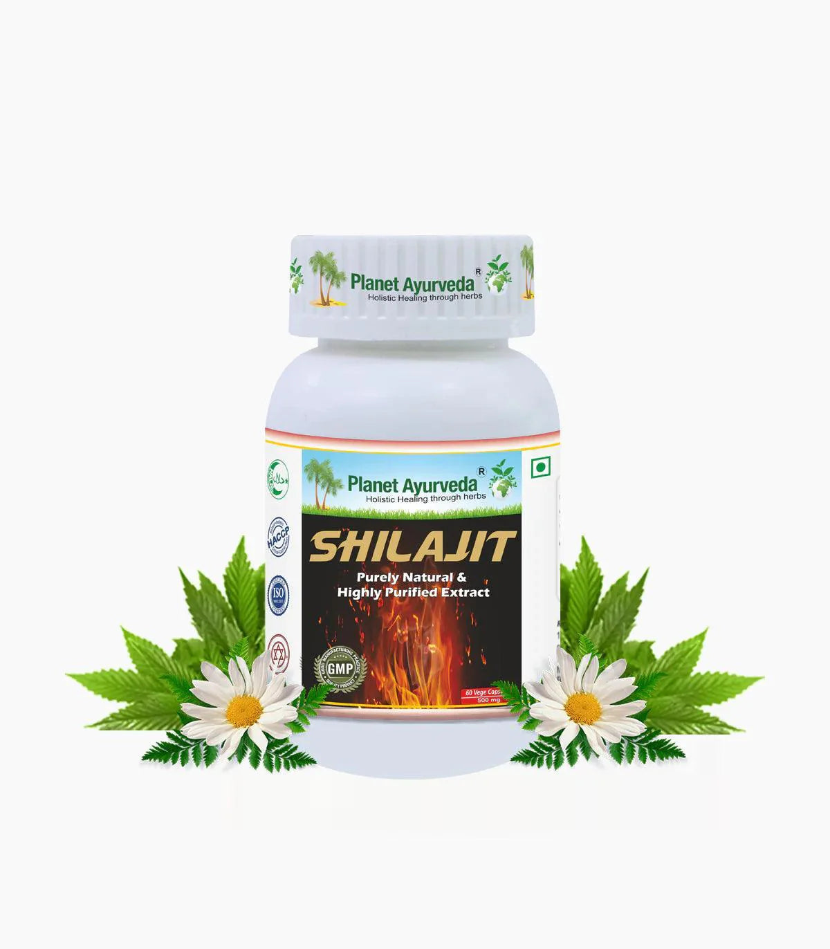 Planet Ayurveda Shilajit Capsule - 60 Capsules