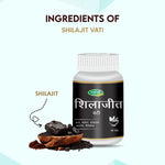 Pack of 2 Shilajit Vati 60 Tab for Energy, & Vitality Support.