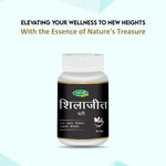 Pack of 2 Shilajit Vati 60 Tab for Energy, & Vitality Support.