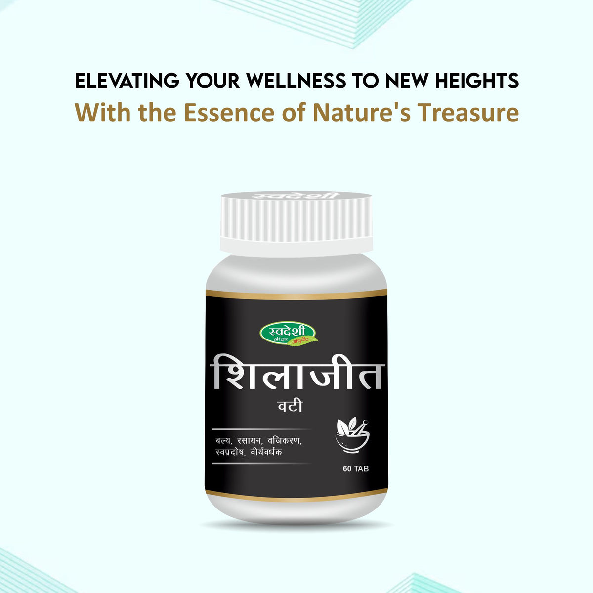 Pack of 2 Shilajit Vati 60 Tab for Energy, & Vitality Support.