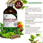 Simply Herbal Super Immunity Elixir Enriched with Giloy, Tulsi, Neem, Papita & Ashwagandha (Pack of 2)