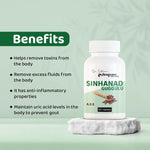 Dr. Satnam's Arogyam Ayurveda Sinhanad Guggulu Tablet (60 Each)