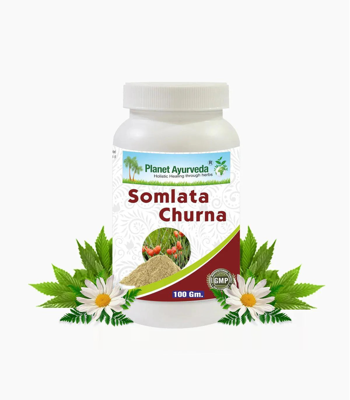Planet Ayurveda Somlata Churna - 100gm Churna