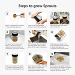 Satopradhan Sprouting Jar Kit -Unique Strainer Cap and Seed Mix Pack - Thoughtfully Designed & Easy to Use DIY Growing Kit
