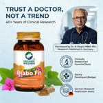 Organic Wellness Diabo-Fit Capsules - 90 Capsules