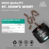 Zespo St. John's Wort 530 mg (Hypericum perforatum) | Mood Balance & Relaxation Support | 1 Capsule Daily | 90 Vegan Capsules
