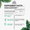 Zespo Turmeric Curcumin Extract Powder 1,000 mg Per Scoop – Standardized to -95% Curcuminoids – Supports Joint Comfort, Antioxidant Defense, Healthy& Immune Health – 60 g