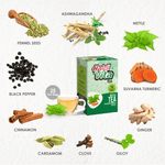 Haldi Vita Tea Haldivita Nettle tea (25 tea bags)