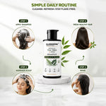GLOSSXPRO Professional System Kerala Tea Tree & Neem Shampoo 250 ML