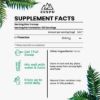 Zespo Pure L-Theanine Powder 250 mg Per Scoop – Supports Relaxation, Focus, Calm Mood & Mental Clarity – Vegan Green Tea Amino Acid – 60 g