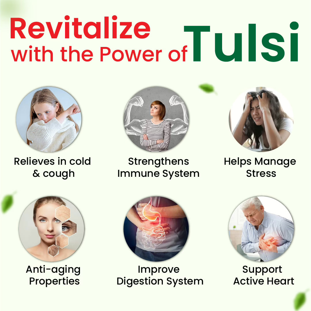 Cipzer Tulsi Capsule 60 Capsules | Immunity Booster, Respiratory Health, Stress Relief & Detox Support