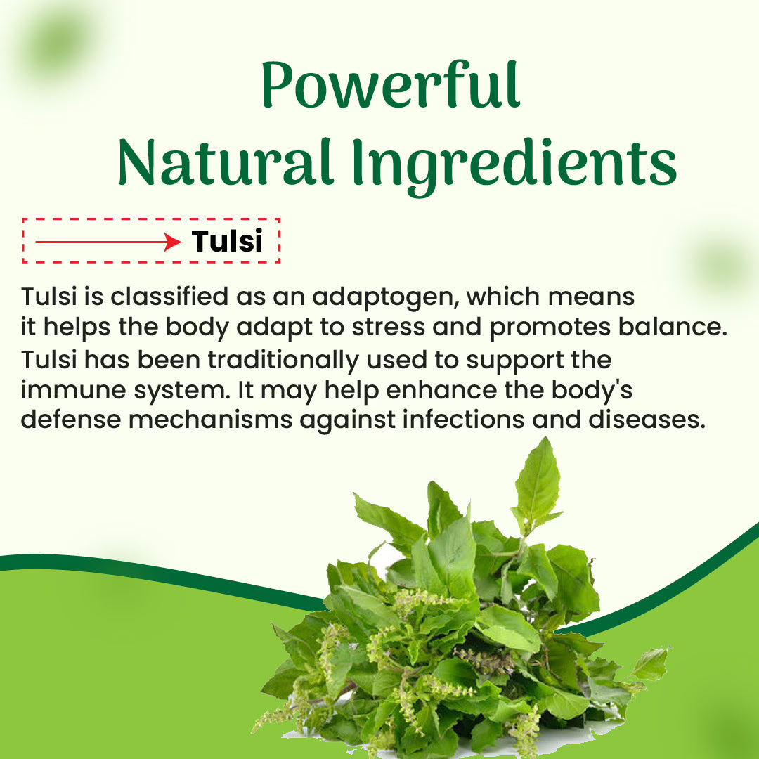 Cipzer Tulsi Capsule 60 Capsules | Immunity Booster, Respiratory Health, Stress Relief & Detox Support