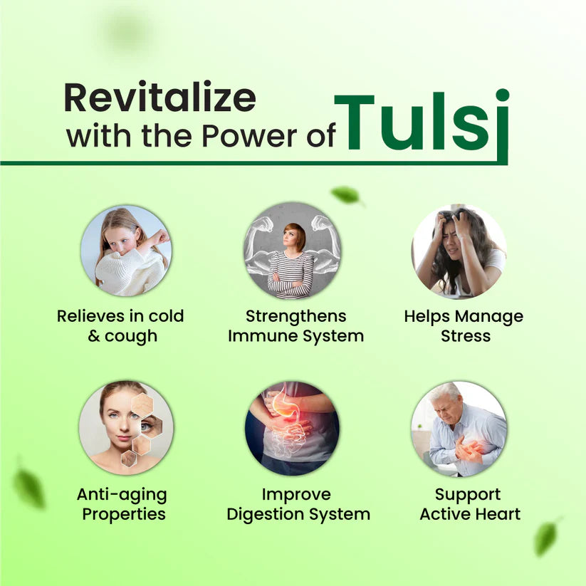 Cipzer Tulsi Capsule 30 Capsules | Immunity Booster, Respiratory Health, Stress Relief & Detox Support