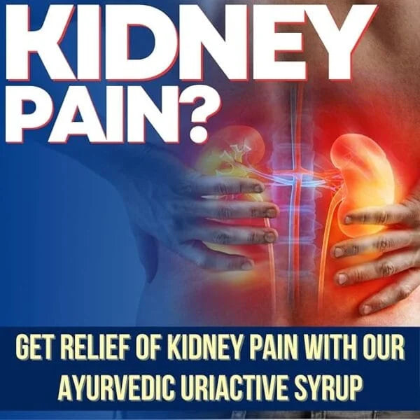 Healthally Uriactive Syrup – Kidney Detox & Stone Remove | Supports Renal Care, Flushes Toxins, Promotes Urinary Health
