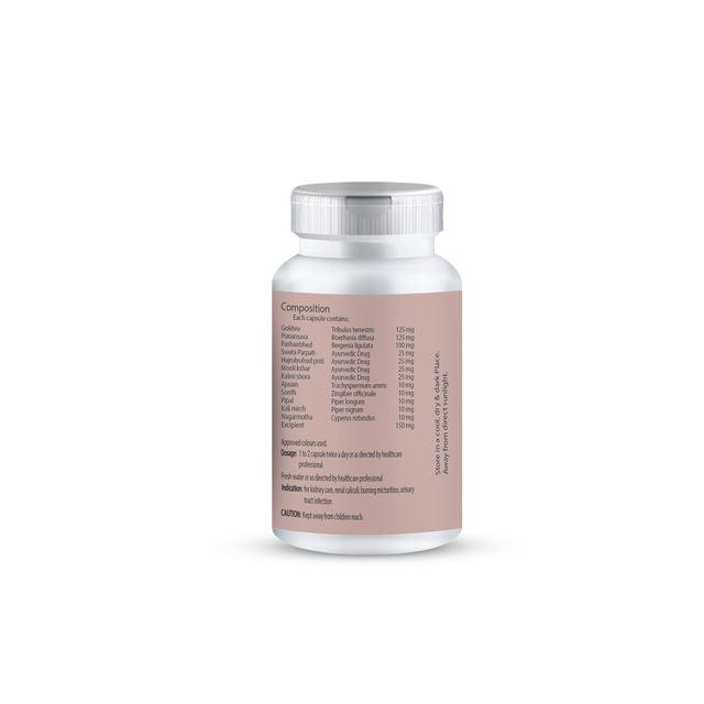 Zenius Stone Go Capsules - Pathri Medicine for Kidney Stone Removal and Relief Pathri Pain - 60 Capsules