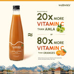 Ayuzera (Wellwith) Himalayan Sea Buckthorn Pulp Concentrate (300ml) | Cold-Pressed Wild Superfruit Pulp | Makes 50 Glasses | Rich in Natural Vitamin C, Omega 3 6 7 9 & Antioxidants | For Immunity, Radiant Skin & Gut Health