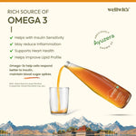 WellWith DiaWell Sea Buckthorn Juice for Blood Sugar Support (300ml)