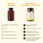 WellWith Sea Buckthorn Vitamin C Capsule (60 Each)