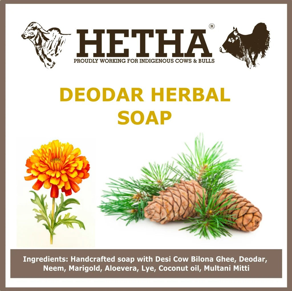 Hetha Deodar Herbal Soap - 100g