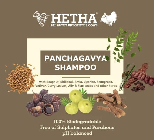 Hetha Panchagavya Shampoo - 250ml