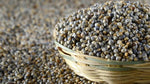 Hetha Organic Pearl millet / Bajra Grains - 2kg