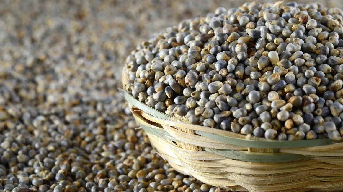 Hetha Organic Pearl millet / Bajra Grains - 2kg