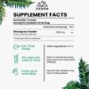 Zespo Wheatgrass Powder 60 g | 100% Pure Wheatgrass (Triticum aestivum) | Green Superfood for Digestion & Daily Nutrition | 40 Servings | Vegan