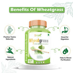 Divya Shree Wheatgrass Capsule Natural Supplement, Pure & Unprocessed Made Using Premium Ingredients, Helpful in losing weight 60 Capsule, Jeevan Care Ayurveda