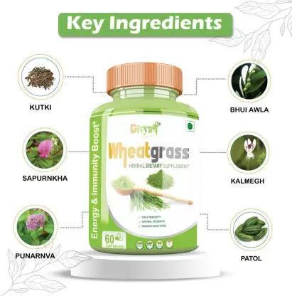 Divya Shree Wheatgrass Capsule Natural Supplement, Pure & Unprocessed Made Using Premium Ingredients, Helpful in losing weight 60 Capsule, Jeevan Care Ayurveda