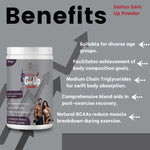 Zenius Gain Up Power - Mass Gainer Protein Powder and Supplements for Weight Gain - 500gm Powder
