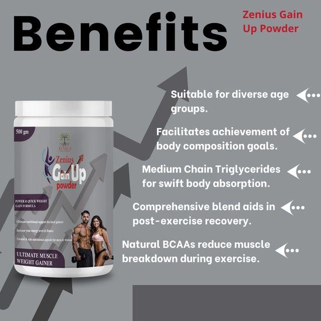 Zenius Gain Up Power - Mass Gainer Protein Powder and Supplements for Weight Gain - 500gm Powder