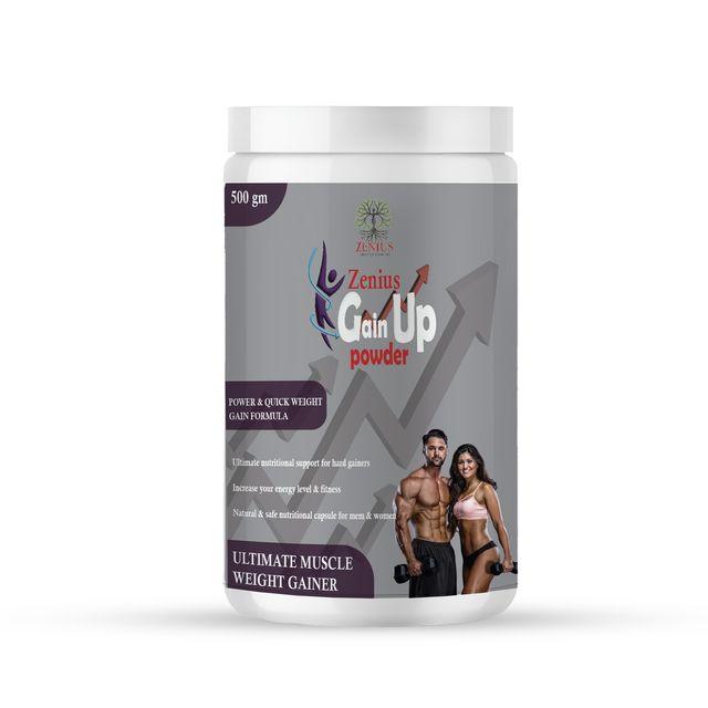 Zenius Gain Up Power - Mass Gainer Protein Powder and Supplements for Weight Gain - 500gm Powder