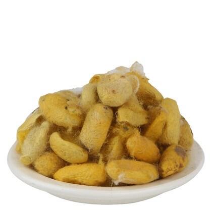 YUVIKA Aabresham - Abresham - Bombyx Mori