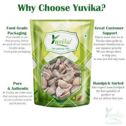 YUVIKA Aam Guthli - Aam Magaj - Mengifera Indica - Mango Seed Kernel