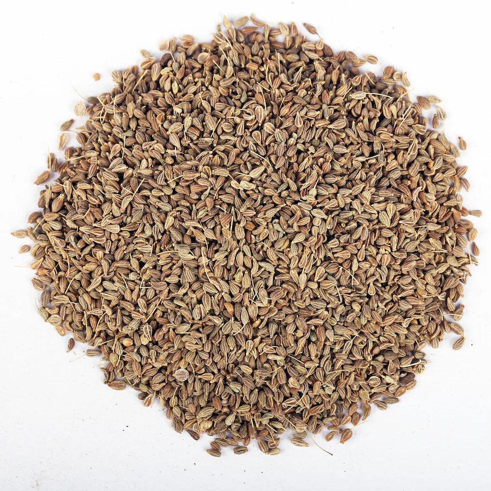 YUVIKA Anesu Asli - Saunf Rome - Foeniculum Vulgare - fennel Fruit