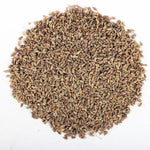 YUVIKA Anesu Asli - Saunf Rome - Foeniculum Vulgare - fennel Fruit