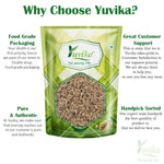 YUVIKA Anesu Asli - Saunf Rome - Foeniculum Vulgare - fennel Fruit