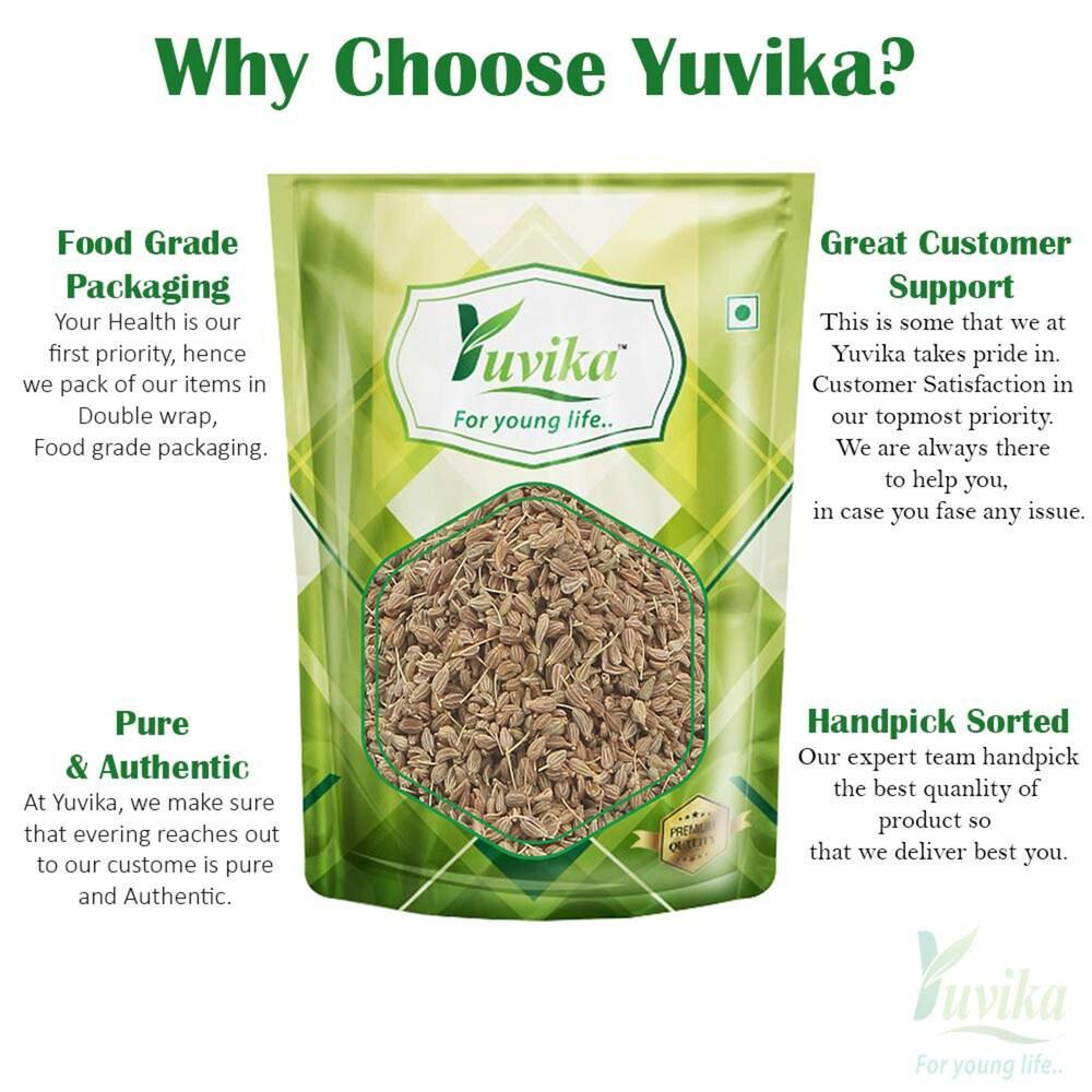 YUVIKA Anesu Asli - Saunf Rome - Foeniculum Vulgare - fennel Fruit