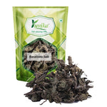 YUVIKA Banafasha Sadi - Banafsha Patti - Banafsha Leaves