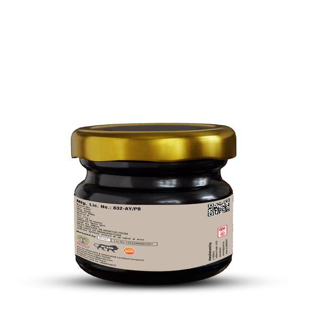 Zenius Shilajit Resin for Stamina and Energy Boost, Sexual Health - 20gm Liquid
