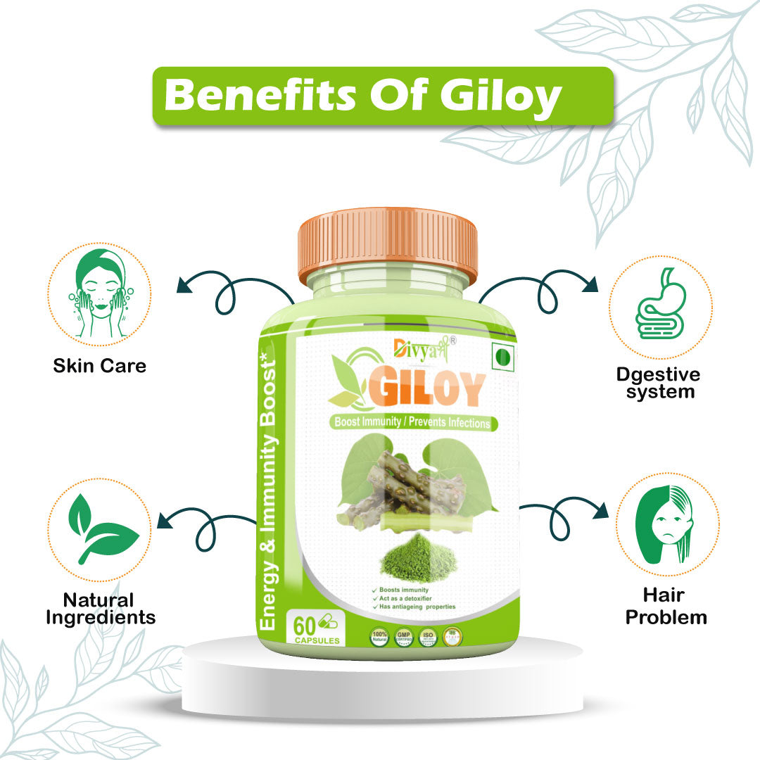 Divya Shree Giloy Capsule Promotes Healthy Skin, Provides Support To Immunity, Helps Boost Energy 60 Ayurvedic Capsule, Jeevan Care Ayurveda
